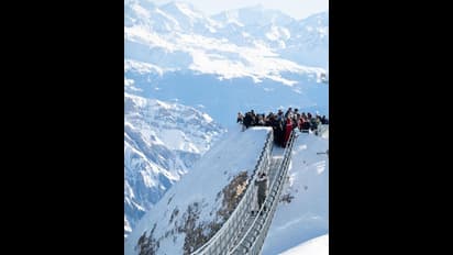 Amy Jackson : ప్రియుడితో కొడుకును కని.. వేరొకరికితో అమీ జాక్సన్ ఎంగేజ్మెంట్.. అతనెవరంటే?