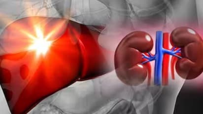 വൃക്കയുടെയും കരളിന്റെയും ആരോഗ്യം ഒരുപോലെ സംരക്ഷിക്കാന് സഹായിക്കും ഈ ഭക്ഷണങ്ങള്...