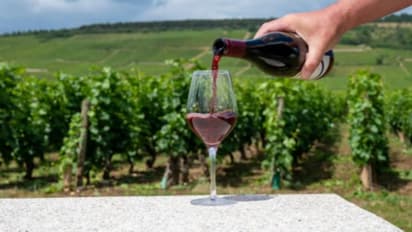 ലോകത്തിലെ ഏറ്റവും വിലയേറിയ വൈൻ മോഷണം പോയി; കേസുമായി റെസ്റ്റോറന്റ്