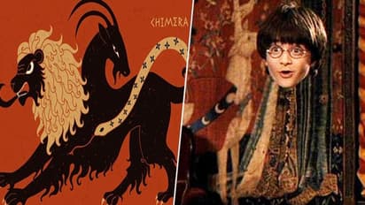 Scientists channel Harry Potter magic; make 'invisibility cloak' with traits of chameleon, glass frog & more