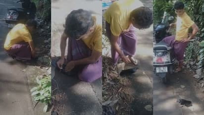 ഷോക്കേറ്റ് ജീവൻ പോവാറായി ഒരു കാക്ക, ഓടിയെത്തി സിപിആര് നല്കി രക്ഷിച്ച് മുനീഷ്; കൈയ്യടിച്ച് സോഷ്യല് മീഡിയ