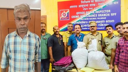 റെയിൽവേ സ്റ്റേഷനിൽ വീണ്ടും വൻ കഞ്ചാവ് വേട്ട; രണ്ട് കേസുകളിലാണ് പിടിച്ചെടുത്തത് 21 കിലോ കഞ്ചാവ്; ഒരാൾ അറസ്റ്റിൽ