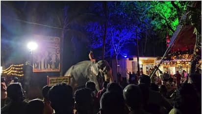 കൊടുങ്ങല്ലൂരിലും ശക്തികുളങ്ങരയിലും ആനയിടഞ്ഞു, പന്തൽ മറിച്ചിട്ടു, ചുറ്റുമതിൽ തകർത്തു