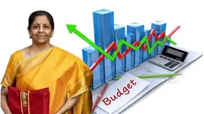 union budget: మందుల ధర తగ్గుతుందా.. ? ఆరోగ్య రంగంలో బడ్జెట్ అంచనాలు ఇలా..