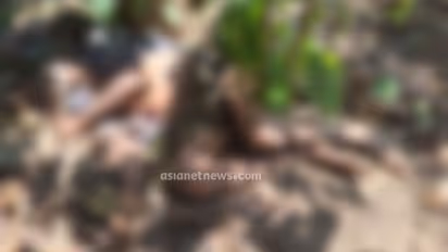 കാണാതായിട്ട് രണ്ടു ദിവസം, വയനാട്ടിൽ കാട്ടാന ആക്രമണത്തിൽ ഒരാള് കൊല്ലപ്പെട്ടു