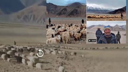 ಲಡಾಕ್‌: ಕುರಿ ಮೇಯಿಸುತ್ತಿದ್ದವರನ್ನು ಬೆದರಿಸಲು ಮುಂದಾದ ಚೀನಿ ಸೈನಿಕರು: ದಿಟ್ಟ ಉತ್ತರ ನೀಡಿದ ಕುರಿಗಾಹಿಗಳು