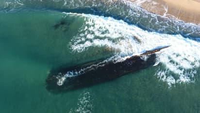 Viral Video: Centuries-old shipwreck found adrift on Canadian coastline sparks mystery (WATCH)