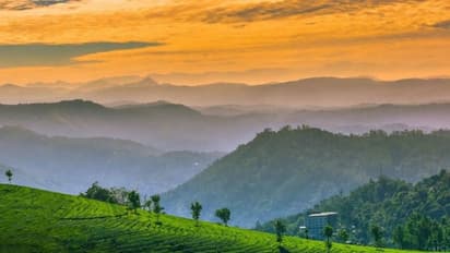 ಬೆಳಗಾವಿ: 100 ಅಡಿ ಪ್ರಪಾತಕ್ಕೆ ಬಿದ್ದರೂ ಬದುಕಿ ಬಂದ ಯುವಕ..!