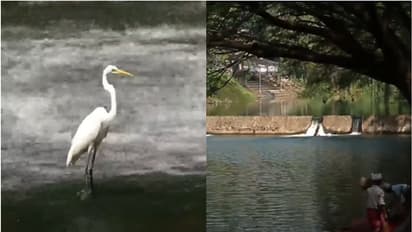 സ്വപ്നതീരമാകാൻ കരമനയാർ തീരം, നഗര ഹൃദയത്തില് ഒരു ടൂറിസ്റ്റ് സ്പോട്ട്; ഒരുങ്ങുന്നത് 15 കോടിയുടെ പദ്ധതി