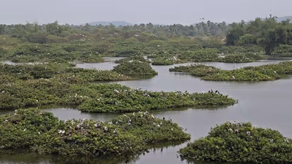 உலக சதுப்பு நில தினம் 2024.. இந்தியாவிற்கு முன்னோடியாகும் தமிழகம் - 115 கோடியில் உருவாகும் புதிய திட்டம்!