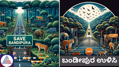 Why #SaveBandipur campaign is gaining traction on social media, what's behind the trend?