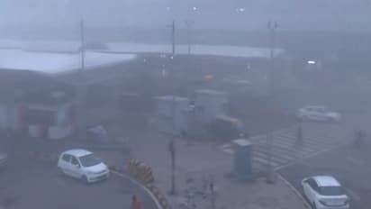 Weather: Delhi experiences sharp temperature drop amid heavy rain, IMD issues hailstorm alert for North India