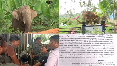 മുള്മുനയിൽ മാനന്തവാടി, കാട്ടാനയെ മയക്കുവെടിവെക്കാൻ ഉത്തരവിറങ്ങി, പിടികൂടി ബന്ദിപ്പൂരിൽ തുറന്നുവിടാനും നിർദേശം