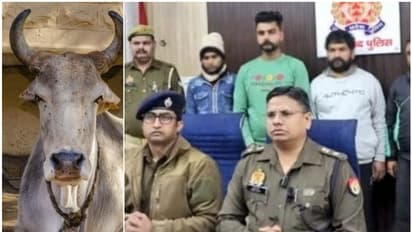 റോഡിൽ പശുക്കളുടെ ജഡം, സമീപത്ത് മുസ്ലിം യുവാവിന്റെ ഫോട്ടോയും ഫോൺ നമ്പറും; അറസ്റ്റിലായത് ബജ്റം​ഗ് ദൾ നേതാക്കൾ