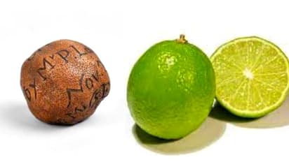 ഒരു നാരങ്ങയുടെ വില 1.48 ലക്ഷം രൂപ! ലേലം കണ്ട് ഞെട്ടി വിപണി; ഇത്രയും വിലമതിക്കാനുള്ള കാരണം ഇതാണ്