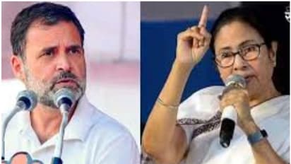 'ഇന്ത്യ' തർക്കം അതിരൂക്ഷം? ആഞ്ഞടിച്ച് മമത; കോൺഗ്രസിനും രാഹുലിനും രൂക്ഷ വിമർശനം, 'ദേശാടന പക്ഷിയെപ്പോലെ രാഹുൽ'