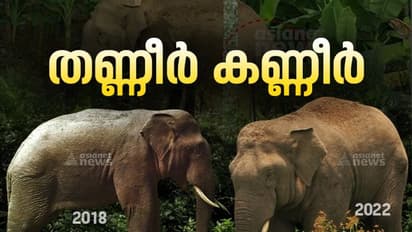 കണ്ണീരായി തണ്ണീർ! വെള്ളം കിട്ടാതെ 15മണിക്കൂർ,മരണ കാരണം എന്ത്? കർണാടക വനമേഖലയിൽ ഒരു മാസത്തിനിടെ ചരിഞ്ഞത് 3 ആനകൾ
