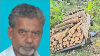 അമിതഭാരം കയറ്റിയെത്തിയ പിക്കപ്പ് വാൻ മറിഞ്ഞു, വീടിന് അടുത്ത് നിന്ന 68കാരന് ദാരുണാന്ത്യം