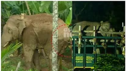 'തണ്ണീർക്കൊമ്പന്റെ മരണകാരണം ഹൃദയാഘാതം, മണിക്കൂറുകള്‍ ചുറ്റിത്തിരിഞ്ഞു, മയക്കുവെടിയേറ്റു': കര്‍ണാടക വനംവകുപ്പ്