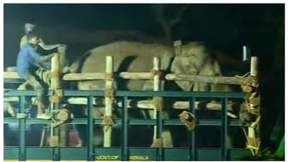 തണ്ണീർ കൊമ്പന്റെ ശരീരത്തിൽ പെല്ലറ്റുകളേറ്റ അടയാളം, സി​ഗ്നൽ പ്രശ്നവും പ്രതിസന്ധി സൃഷ്ടിച്ചു 