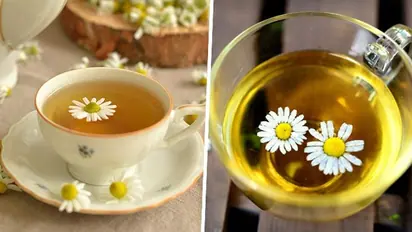 Sleep aid to Menstrual pain relief: 7 benefits of Chamomile tea