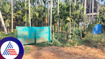 Karnataka: Three tonnes of cow bones discovered at Bhadravathi in Shimoga, accused arresed