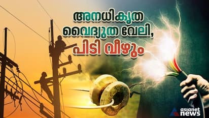 കഴിഞ്ഞ മാസവും ഷോക്കേറ്റ് 2 മരണം, ഇനി അനുവദിക്കില്ല; അനധികൃത വൈദ്യുതി വേലികള്‍ തേടി കെഎസ്ഇബി, കർശന നടപടി