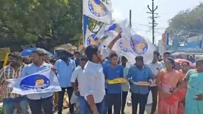 'தளபதி வாழ்க' 'தளபதி வாழ்க'... வாக்கு சேகரித்து ராமநாதபுரத்தை அதிரவிட்ட தமிழக வெற்றி கழகத்தினர்...!!