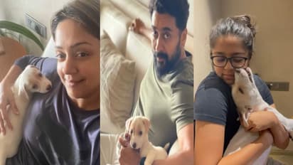 சூர்யாவின் டோடல் குடும்பத்துக்கு இவங்கதான் செல்லம்.. Kobeக்கு பிறந்தநாள் வாழ்த்துக்கள் சொன்ன ஜோ - Cute Video!