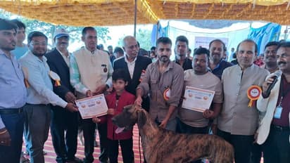 ಹಂಪಿ ಉತ್ಸವದಲ್ಲಿ ಗಮನ ಸೆಳೆದ ಶ್ವಾನ ಪ್ರದರ್ಶನ: ಒಂದಕ್ಕಿಂತ ಒಂದು ಭಿನ್ನವಾಗಿದ್ದ 19 ತಳಿಯ ಶ್ವಾನಗಳು!