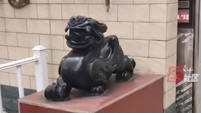 സമ്പത്ത് കുമിഞ്ഞുകൂടാൻ വച്ച പ്രതിമ രോഗികളുടെ മരണത്തിലേക്ക് നയിച്ചോ? വിവാദം