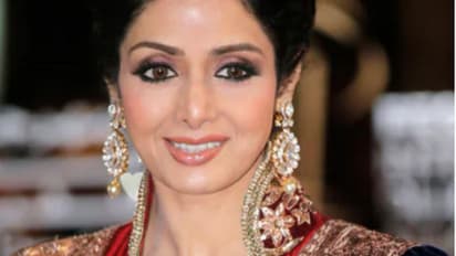 നടി ശ്രീദേവിയുടെ മരണം: പ്രധാനമന്ത്രിയുടെ വ്യാജ കത്ത് പ്രചരിപ്പിച്ച വനിതാ യുട്യൂബര്‍ക്കെതിരെ കുറ്റപത്രം