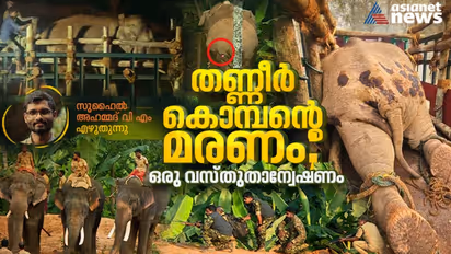 കാടിറങ്ങിയവനെ വീണ്ടും കാടുകയറ്റി. പക്ഷേ...; തണ്ണീര്‍ കൊമ്പന്‍റെ ജീവനെടുത്തതെന്ത്? ഒരു വസ്തുതാന്വേഷണം