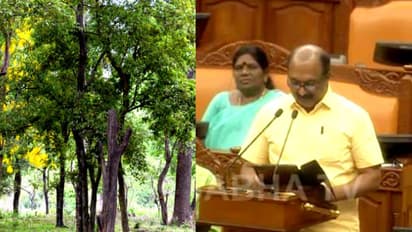 ബജറ്റിൽ ചന്ദനകൃഷിക്ക് പ്രോത്സാഹനം; നിയമങ്ങളിലും ചട്ടങ്ങളിലും മാറ്റങ്ങള് വരുത്തുമെന്ന് ധനമന്ത്രി