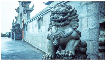 വിശ്വാസമല്ലേ എല്ലാം! ആശുപത്രിയിലെ 'ഭാഗ്യപ്രതിമ' രോഗികള്ക്ക് ദോഷം ചെയ്യും, പിന്നാലെ പ്രതിമയ്ക്ക് സ്ഥാന ചലനം !