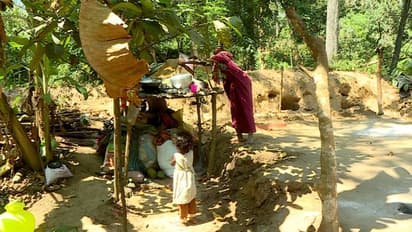 കൈക്കുഞ്ഞുമായി ഉറങ്ങുമ്പോൾ കാട്ടുകൊമ്പനെത്തി, ആനക്കലിയിൽ കുടിൽ തകർന്നു, തലനാരിഴയ്ക്ക് രക്ഷപ്പെട്ട് കുടുംബം