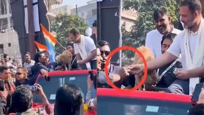 ಕಾಂಗ್ರೆಸ್ ಕಾರ್ಯಕರ್ತ ನಾಯಿಗಿಂತ ಕಡೆನಾ? ನಾಯಿ ತಿನ್ನದ ಬಿಸ್ಕೆಟ್‌  ಕಾರ್ಯಕರ್ತನಿಗೆ ನೀಡಿದ್ರಾ ರಾಹುಲ್‌?