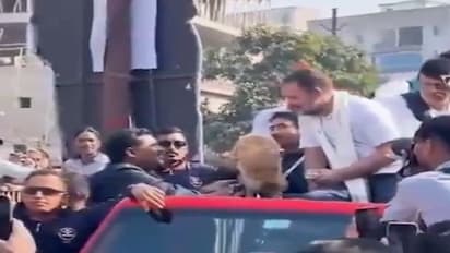 நாய்கள் மீது பாஜகவுக்கு ஏன் இவ்வளவு ஆர்வம்? நாய் பிஸ்கட் விவகாரத்தில் ராகுல் பொளேர்!