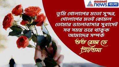 Luka Damiano filmlarini tomosha qiling