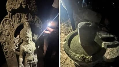 Ancient Lord Vishnu idol, Shiva Linga discovered in Raichur; possibly from Kalyani Chalukya dynasty (WATCH)