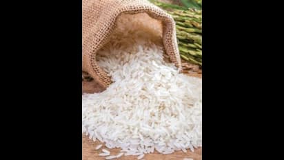 Kerala: Sale of Sabari K-Rice to be launched by CM Pinarayi Vijayan; Know rates of rice and more