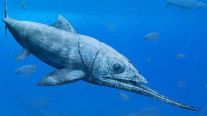 വെള്ളത്തിലും അന്യഗ്രഹജീവിയോ? ഒടുവിൽ കണ്ടെത്തി സമുദ്രത്തെ ഭരിച്ചിരുന്ന ആ പുരാതനമത്സ്യത്തിന്റെ രഹസ്യം