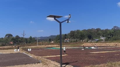 ಕೊಡಗು: ಕಾಫಿ ಬೀಜ ರಕ್ಷಣೆಗೆ ಸಿಸಿ ಕ್ಯಾಮೆರಾ ಮೊರೆ ಹೋದ ರೈತರು..!