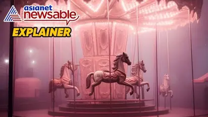 Explained: What is PETA's beef with animal-themed merry-go-rounds?