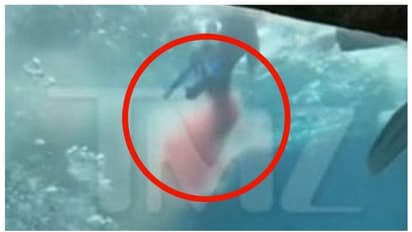 സ്രാവുകളെ അടുത്തുനിന്ന് കാണാൻ ടാങ്കിലിറങ്ങിയ പത്ത് വയസ്സുകാരന്റെ കാല് സ്രാവുകള് കടിച്ചു മുറിച്ചു