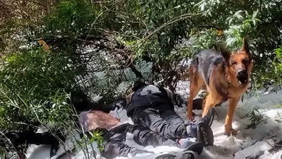 Trek turns tragic in Himachal Pradesh: Two lives lost, canine guardian stands vigil for 48 hours