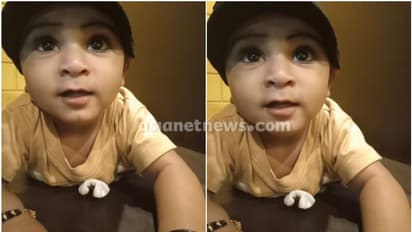 ദാരുണം, മലപ്പുറത്ത് മുറ്റത്ത് കളിക്കുന്നതിനിടെ രണ്ട് വയസുകാരൻ പാമ്പ് കടിയേറ്റ് മരിച്ചു