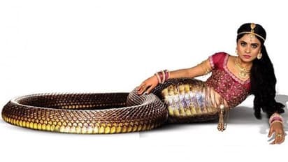 ನಾಗಿಣಿ ಸೀರಿಯಲ್ ಗೆ 8 ವರ್ಷ; ಮಧುರ ನೆನಪುಗಳ ಮೆಲುಕು ಹಾಕಿದ ದೀಪಿಕಾ ದಾಸ್ 