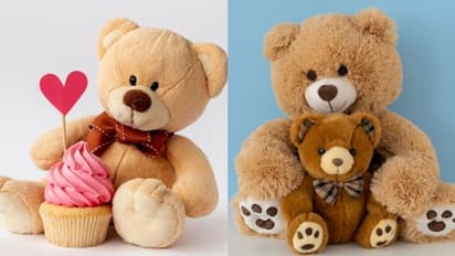 Teddy Day 2024: What, why and when do we celebrate this day
