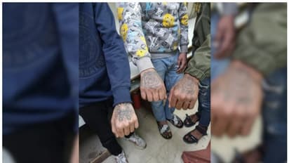 എല്ലാവരും കൈയിൽ റോസാപ്പൂവ് പച്ചകുത്തും, മോഷണം നടത്തിയ ശേഷം വീഡിയോ പോസ്റ്റ് ചെയ്യും; തെളിഞ്ഞത് നിരവധി കേസുകൾ